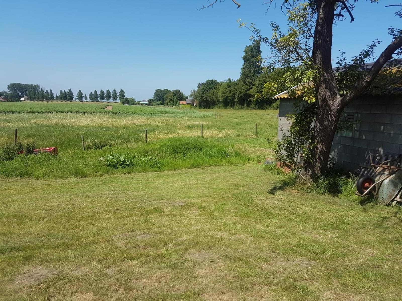 Affittacamere Dikehouse At Sea Walsoorden Esterno foto